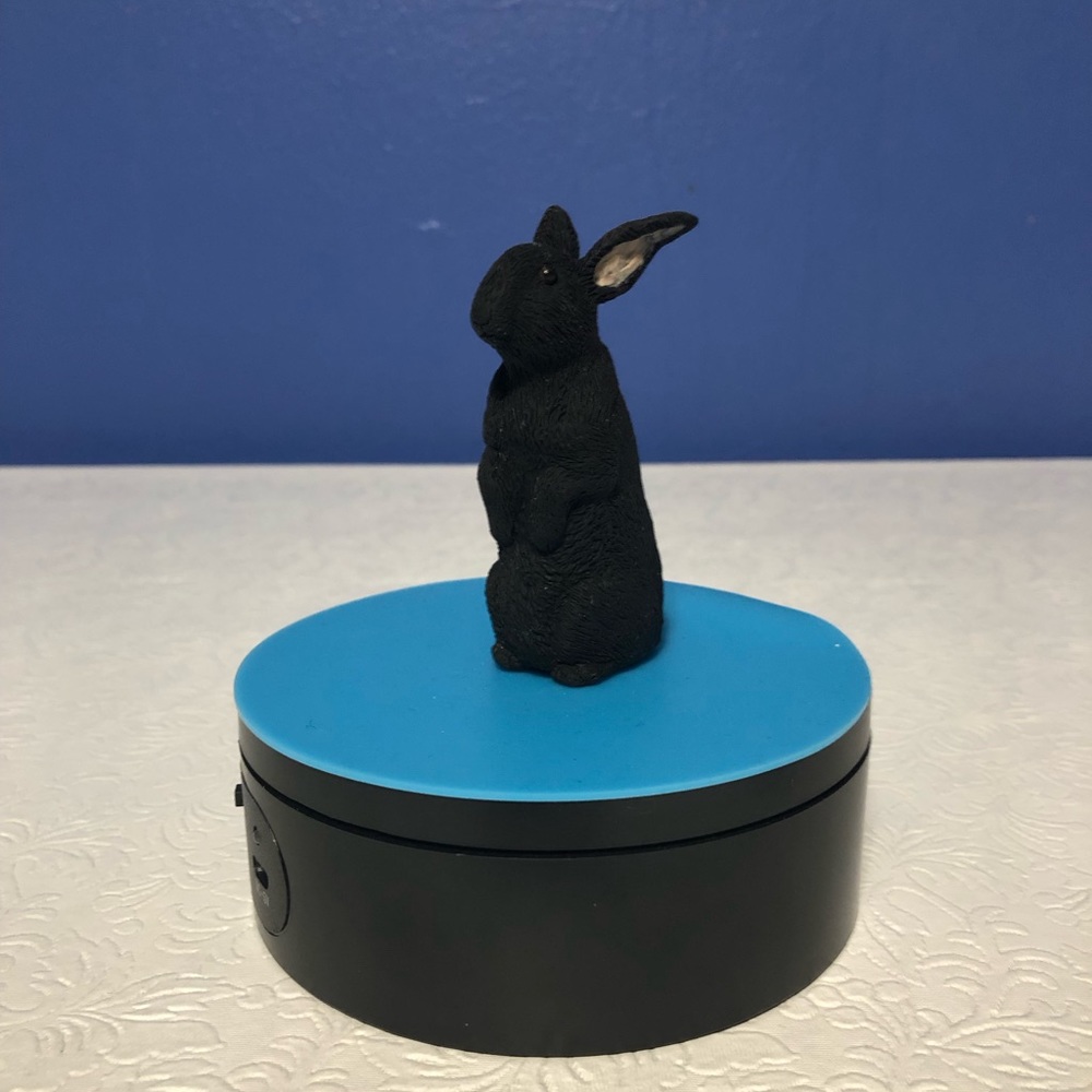 Curious little black polymer rabbit standing up.